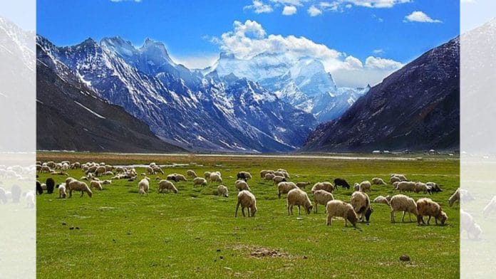 A photo of Rangdum village in Suru Valley /Photo: Wikimedia Commons