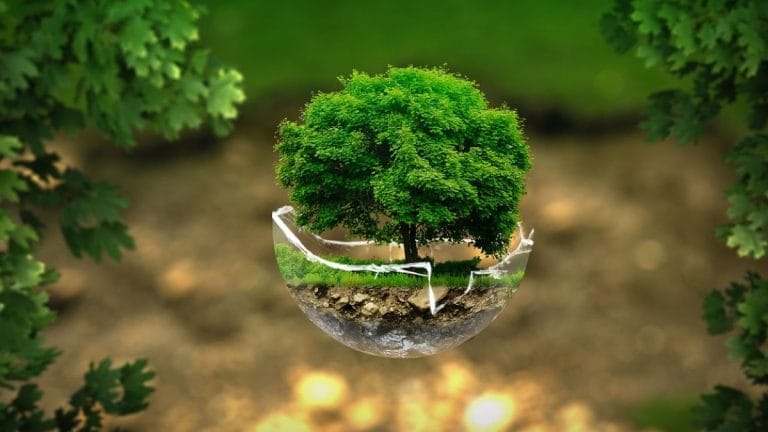 SubscriberWrites: Making our cities cool again