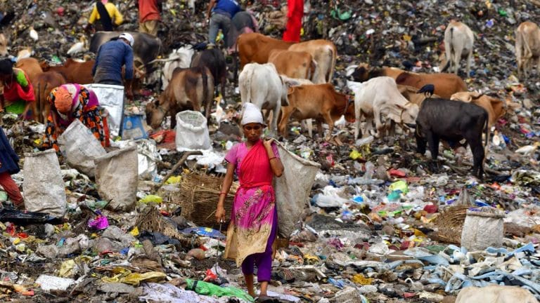 86% safai karamcharis in Delhi have poor lung function, women ‘more vulnerable’, finds NGO-led survey