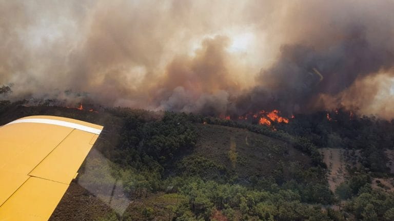 Greece wildfires continue for the seventh day, tourists expected to fly out