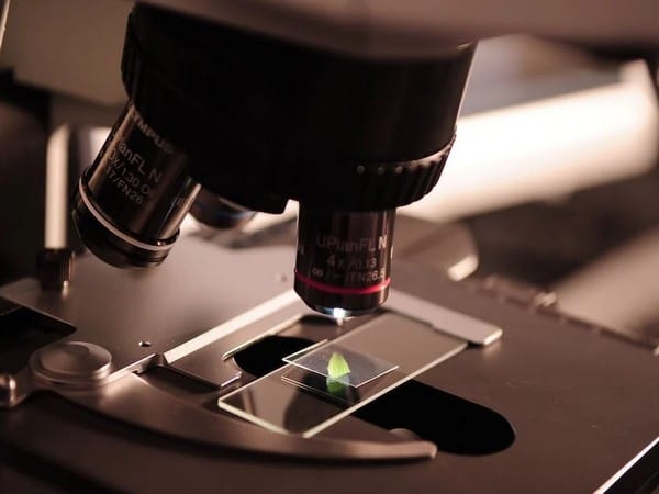 Study finds structure of a crucial neural transport protein