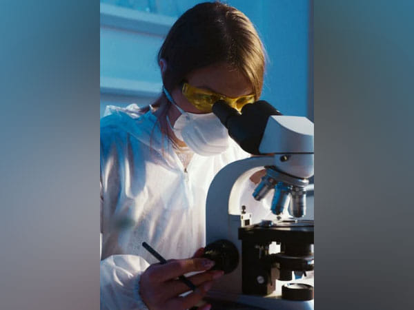 Researchers create human embryo-like entities with extraembryonic tissue