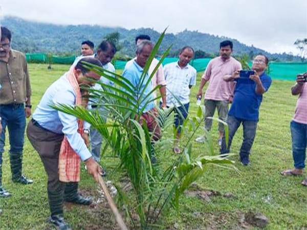 Oil palm plantation drive underway across states; 7,000 ha to be covered