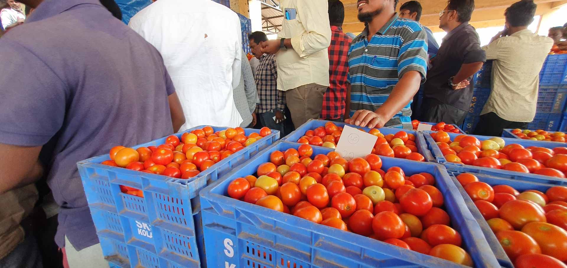 At the Kolar APMC | Sharan Poovanna | ThePrint 