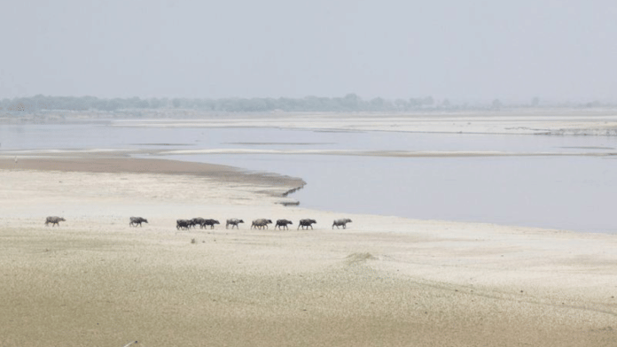 A herd travels to cool off in the River Indus, Hyderabad, Pakistan/File Photo via Reuters