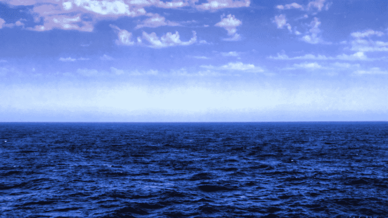 New UN ocean treaty signed by 67 countries, implementation still awaits