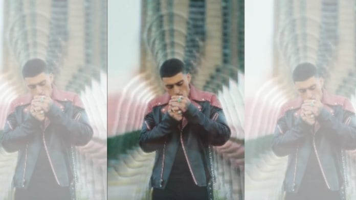 Zayn Malik in the recent album teaser | Twitter
