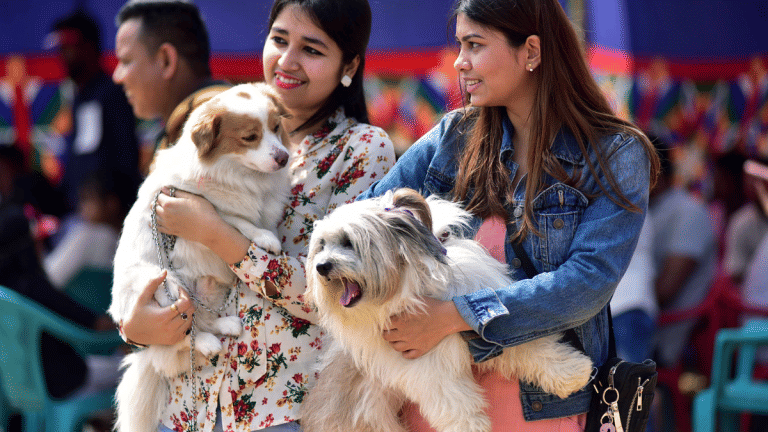 The evolutionary reasons humans love pets – and nine benefits of having one