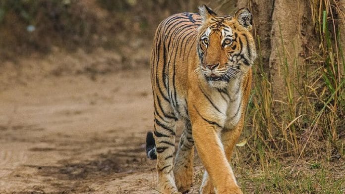 Representational image | Commons