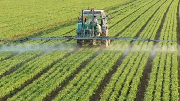 Representational Image | Pixabay