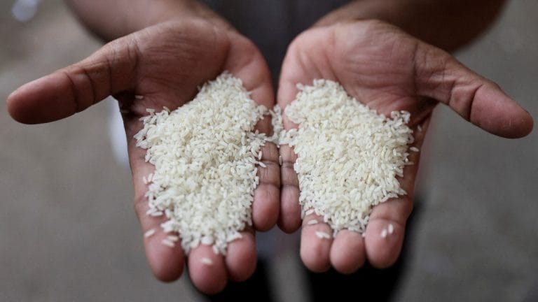 Government allows traders to export non-basmati white rice stuck at ports due to export ban