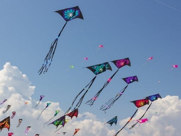 Independence Day 2023: What makes kite flying tradition so special in India