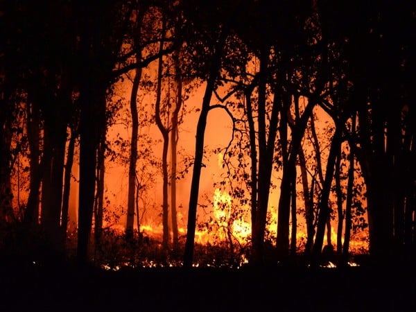 Canada wildfires: British Columbia declares provincial state of ...