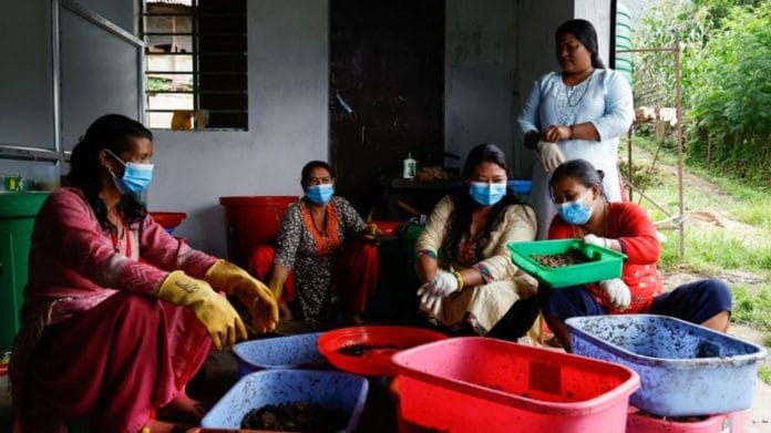Kamala Shrestha along with Mana Maya Shrestha, Sita Tamang, Samjhana Shrestha and Bina Kumari Shrestha work as they feed and collect Black Soldier Fly larvae at a farm in Bhardev village on the outskirts of Lalitpur, Nepal | Reuters