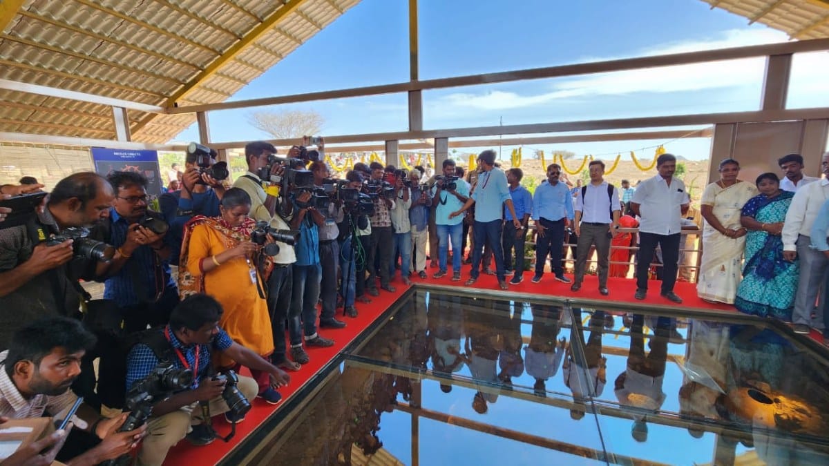 All eyes on a couple of trenches covered with toughened glass 