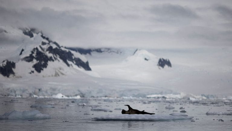 India calls for study of melting ice caps, controlled tourism at Antarctic Treaty meet in Kochi