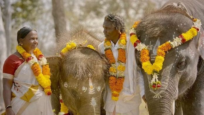 A still from The Elephant Whisperers | Instagram | @kartikigonsalves