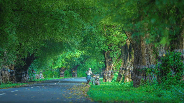 SubscriberWrites: In a silent jungle, strangers helped me — A reminder that kindness still exists