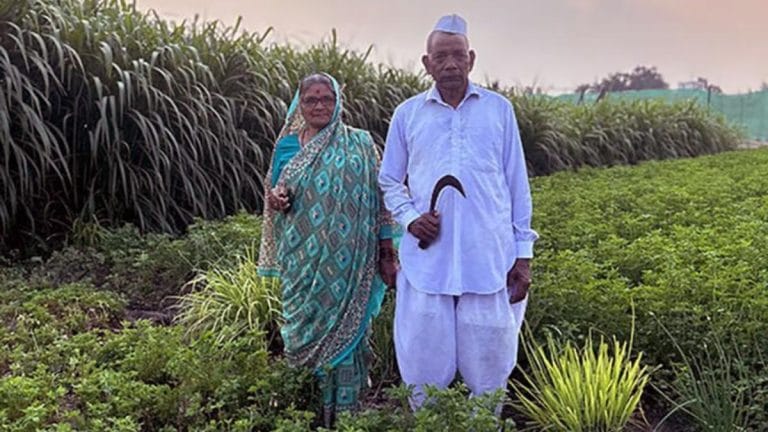Farmer producer companies can create Amul-like winners. They can bargain better