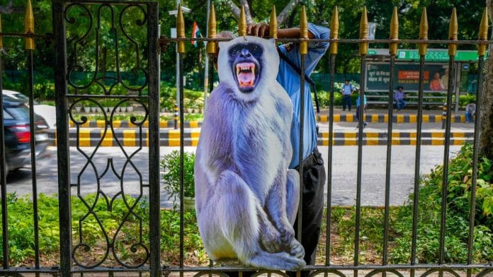 A cut-out of 'langur' being fixed to a fence to scare monkeys as part of preparations for the upcoming G20 Summit, in New Delhi, on 29 August 2023 | PTI