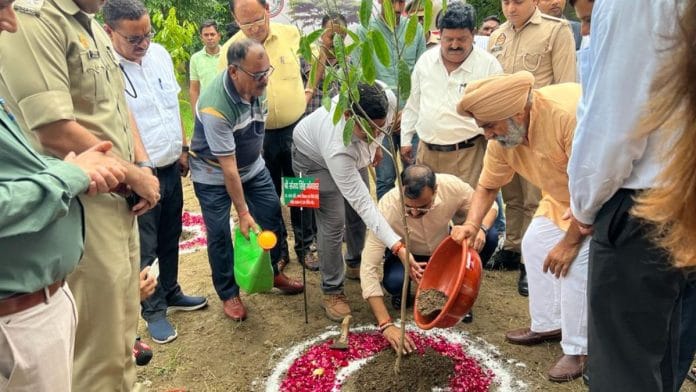 Uttar Pradesh's plantation drive | Photo: Twitter, @UpforestUp