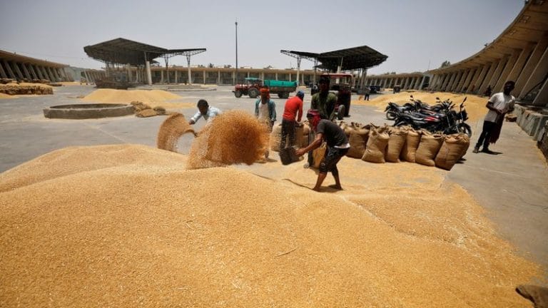 Govt could sell wheat in open market to control price, says Food Secretary Sanjeev Chopra