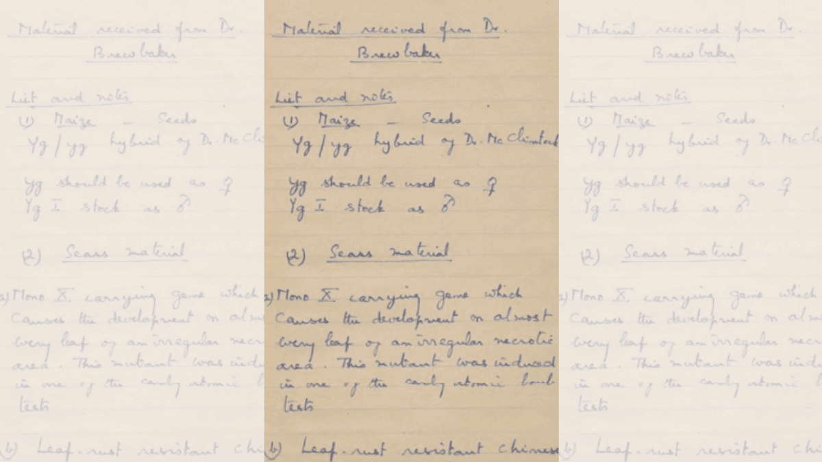 A page from MS Swaminathan’s 1960 Lab notebook at IARI. The entry describes seeds that the lab received from James L Brewbaker | Credit: Laboratory Notebook, Indian Agricultural Research Institute, 1960 (MS-007-1-1-1-1) | From Archives at NCBS