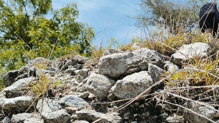 Do you worry about Earth’s future? It’s called eco-anxiety — 8 things you can do about it