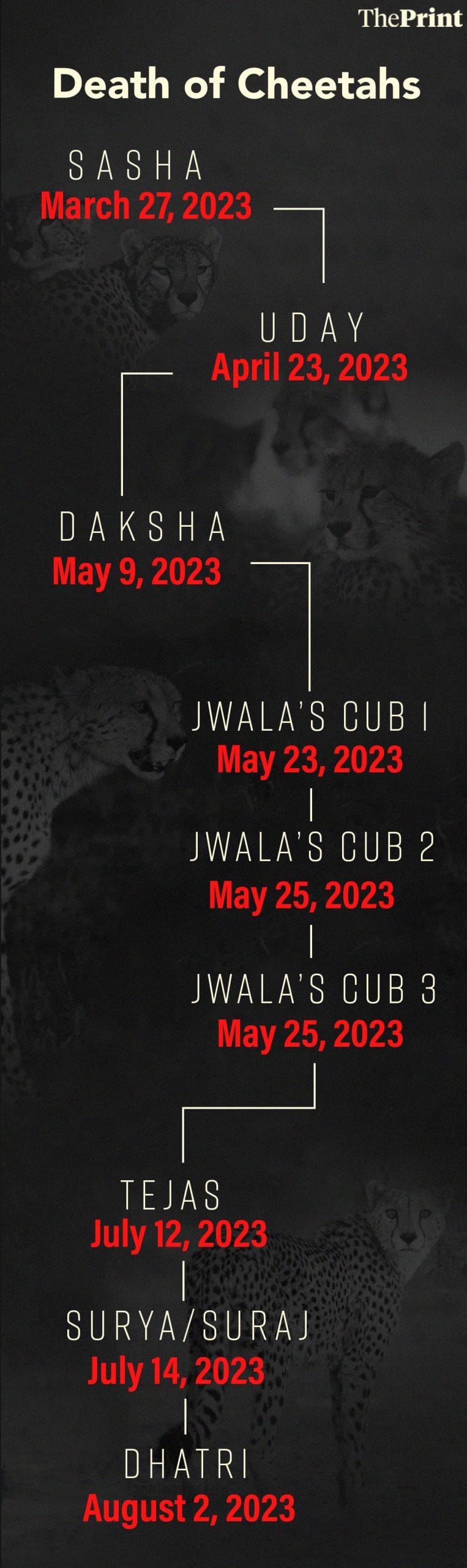 Graphic: Prajna Ghosh | ThePrint