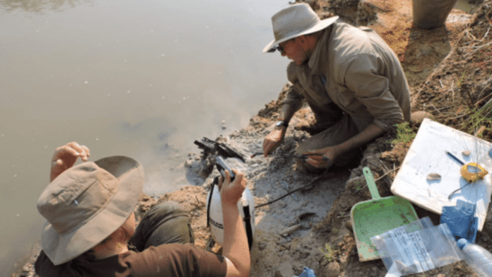 Modified wood tools from site BLB, Kalambo Falls, 2019 | Photo courtesy: University of Liverpool
