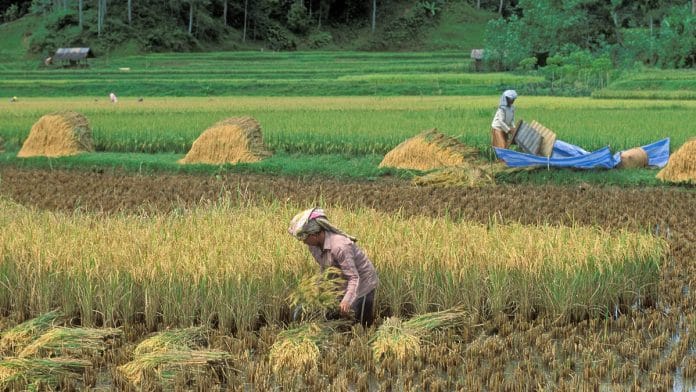 Representational image | Flickr