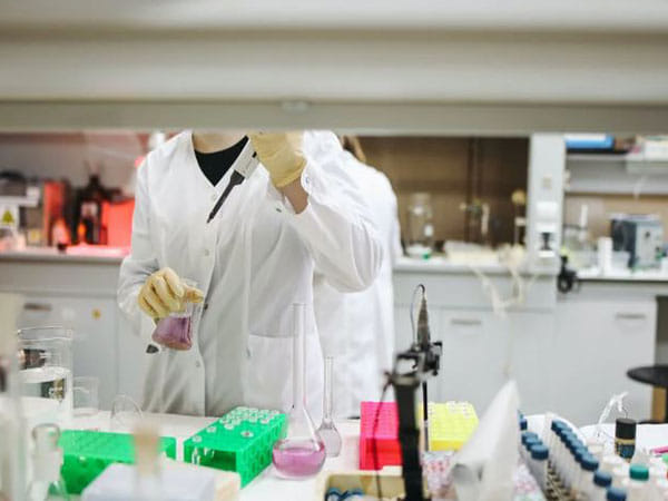 Senescent immune cells promote lung tumor growth: Study