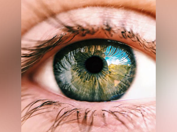Study reveals diabetes may be treated using eye implants
