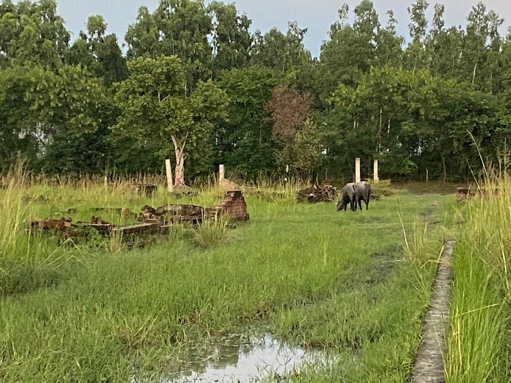 Plots of land that were allegedly sold by Harish Pathak of Saket Goat Farming in Majha Kalan. The area was among those that saw bulldozers last August | Shikha Salaria | ThePrint