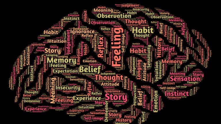 Why every science lab must have an artist on the team