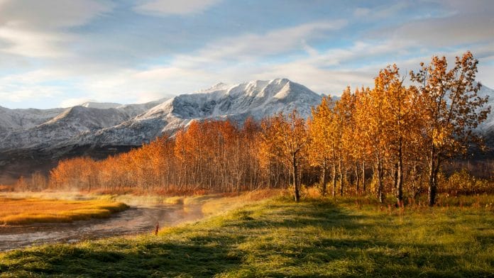 Representational image | Flickr