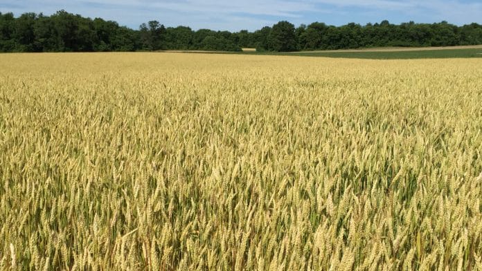 Representational image | Flickr