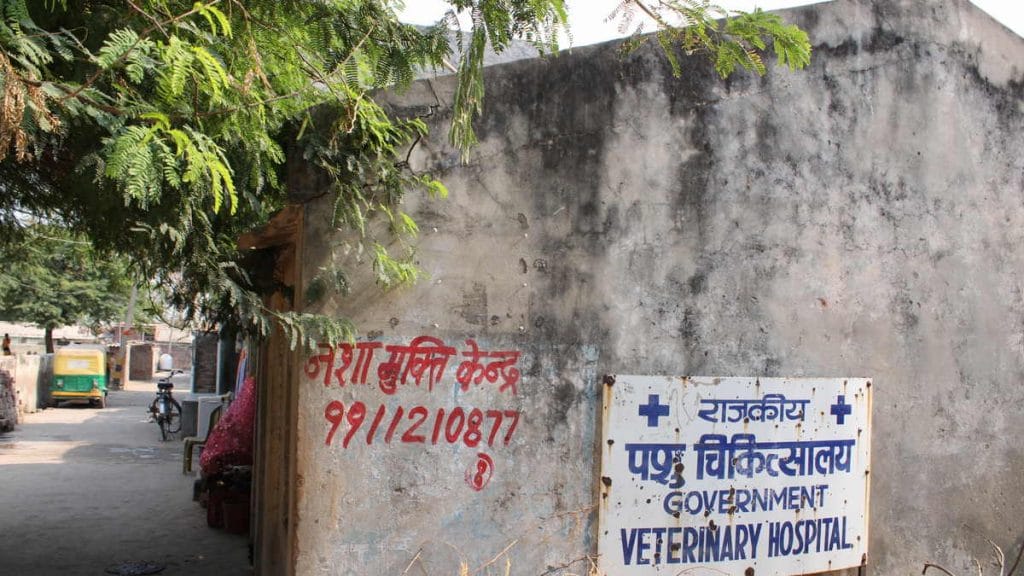 Bhatti Mines vet hospital