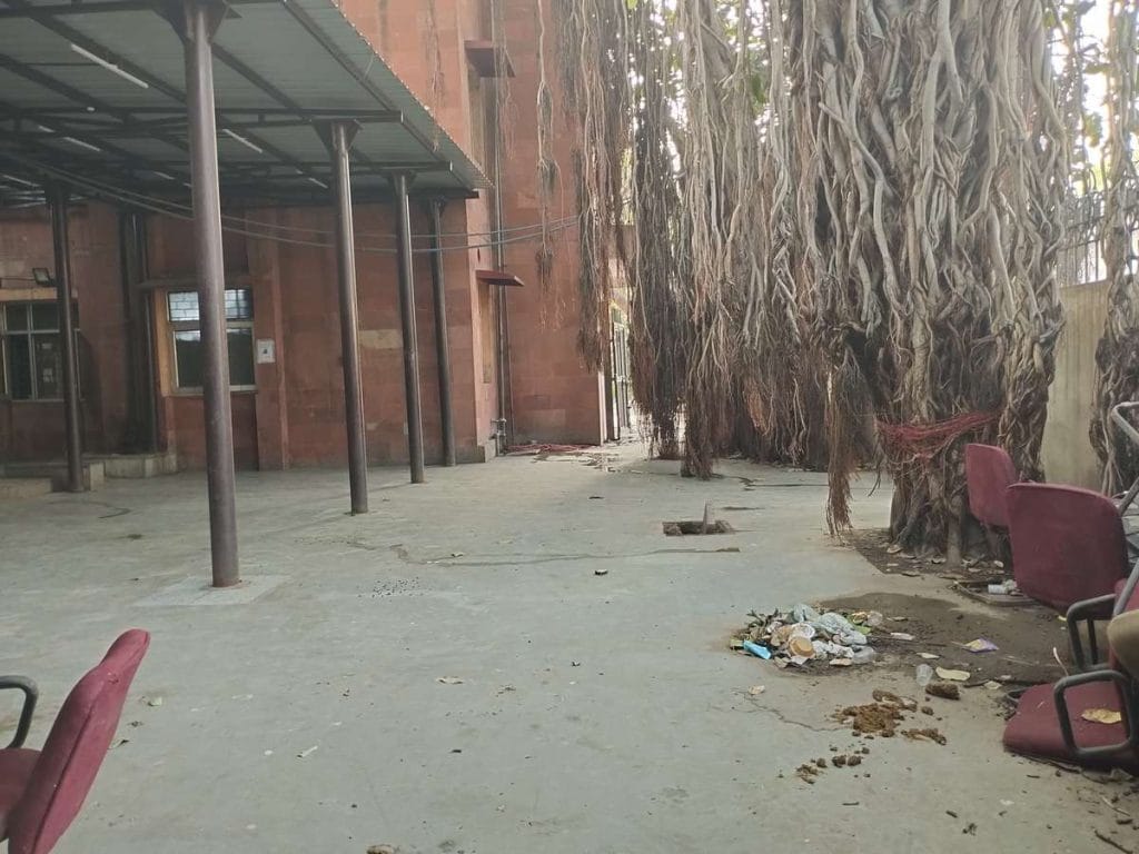 Tis Hazari veterinary hospital