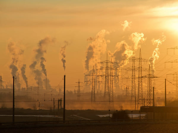 Research discovers link between air pollution, Parkinson's disease