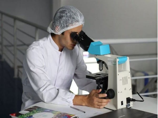 Video technology has potential to revolutionise how scientists track changes in species evolution, development