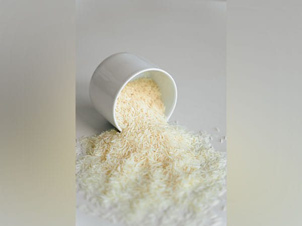Mauritius receives shipment of long grain white rice from India