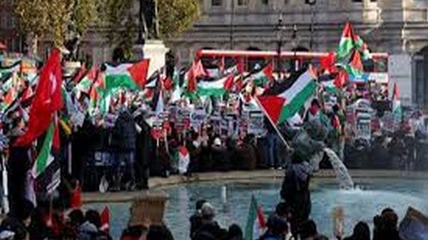 UK: Right-wing members clash with Pro-Palestine supporters on Armistice Day in London