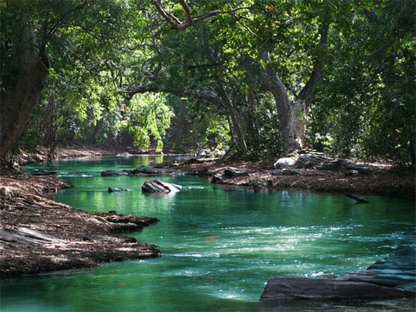 Study finds water treatment method can generate green energy