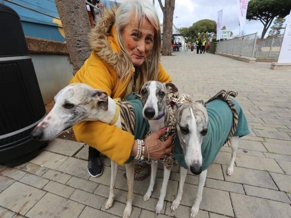 Israelis rescuing man's best friend from war