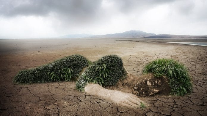 Representational image | Commons