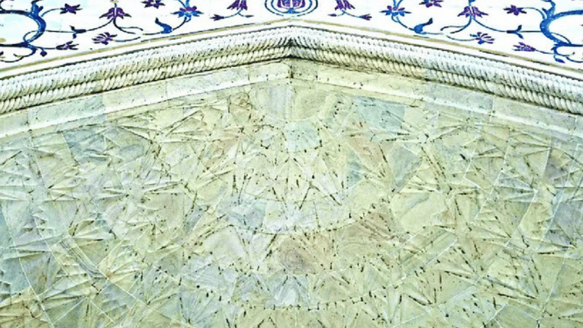 The chemical department of the ASI is conducting a study on stopping the growth of these insects on the Taj Mahal’s surface | Photo: Amir Qureshi | ThePrint