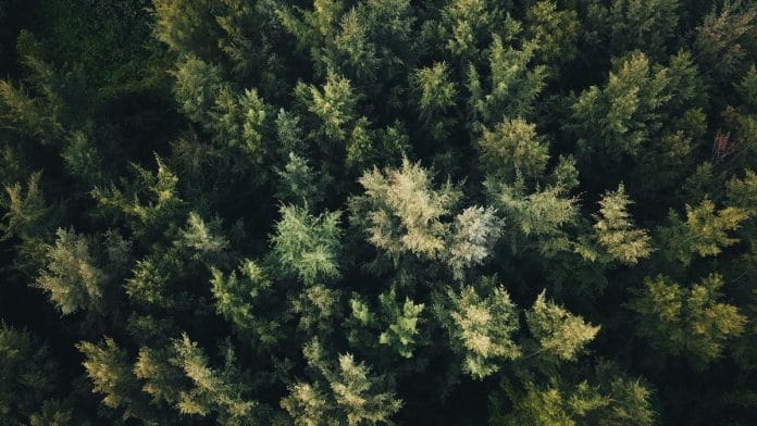 Representational image | Pexels