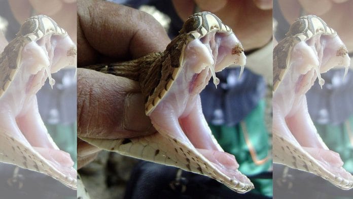 Representational image | Commons