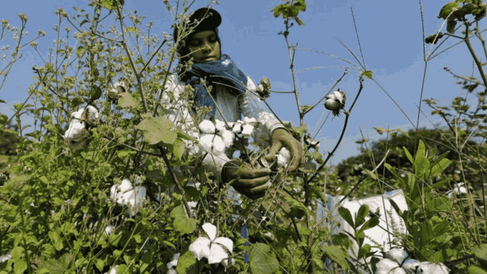 Representational Image | Reuters